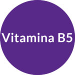 Icono Vitamina B5